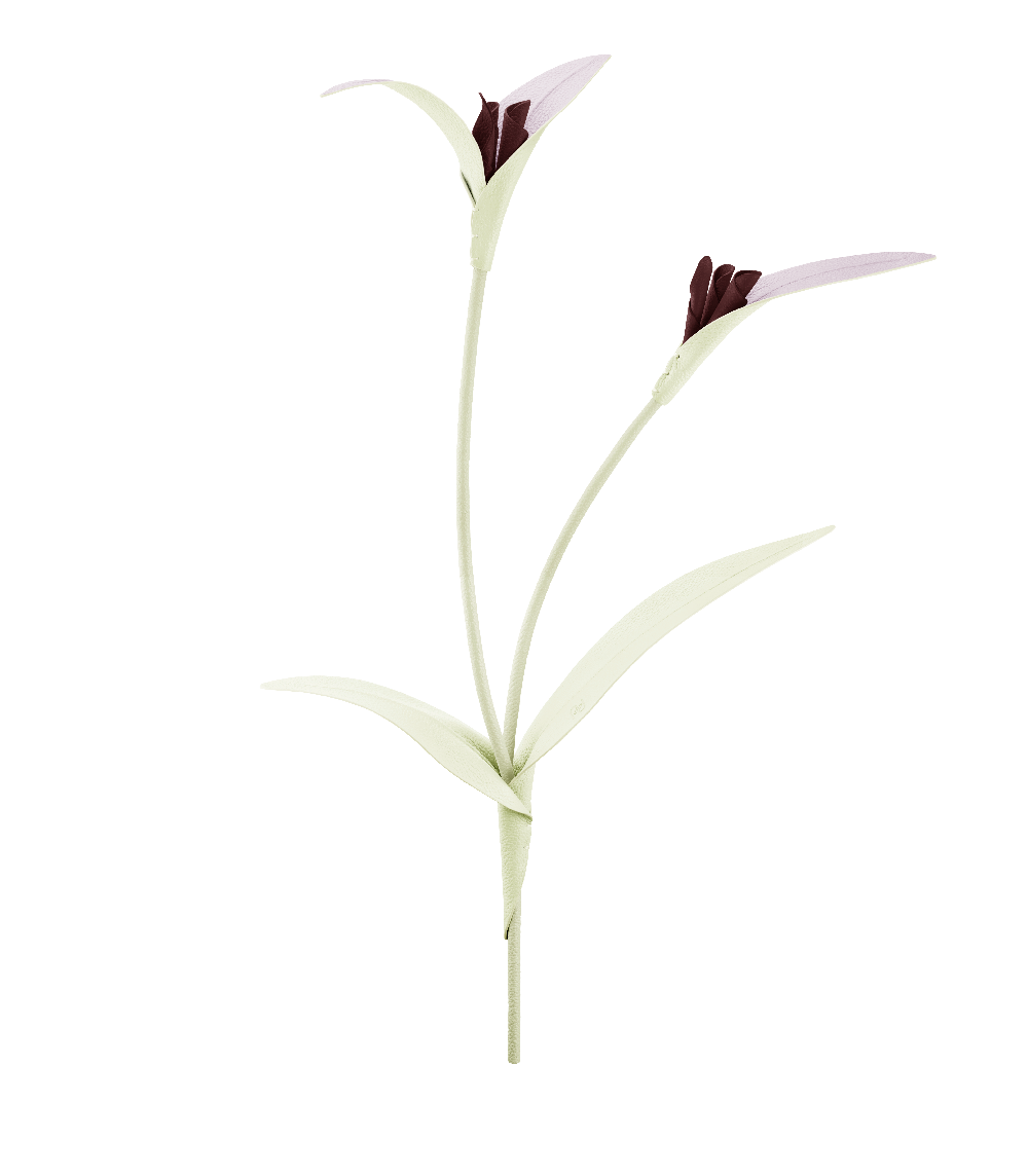 Touka Blomst - Aloe