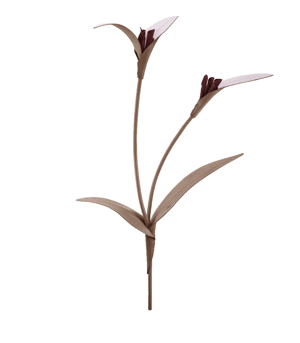 Touka Blomst - Rod